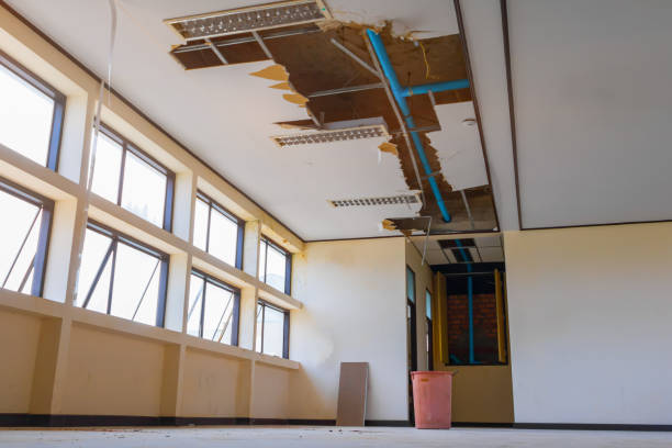 Best Ceiling water damage repair  in Wedgefield, FL