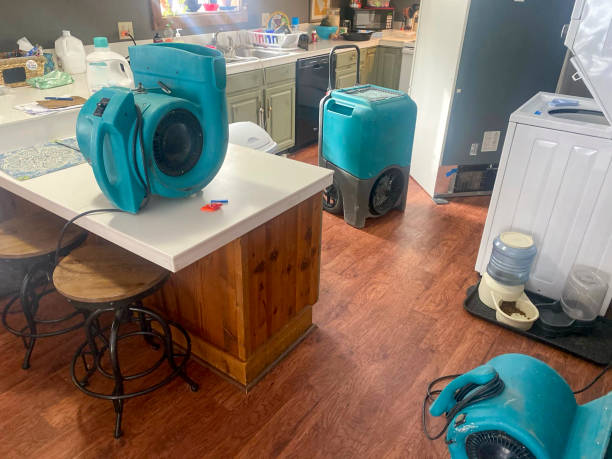 Trusted FL Water damage restoration Experts