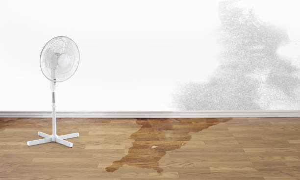 Best Sewage cleanup and water damage restoration  in Wedgefield, FL