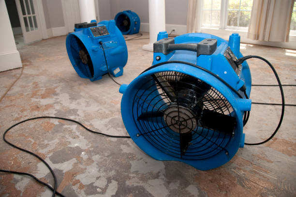 Best 24-hour water damage restoration  in Wedgefield, FL