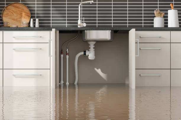 Best Water damage cleanup near me  in Wedgefield, FL