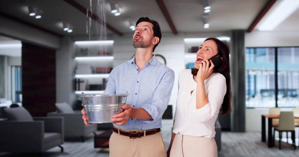 Best Mold removal after water damage  in Wedgefield, FL